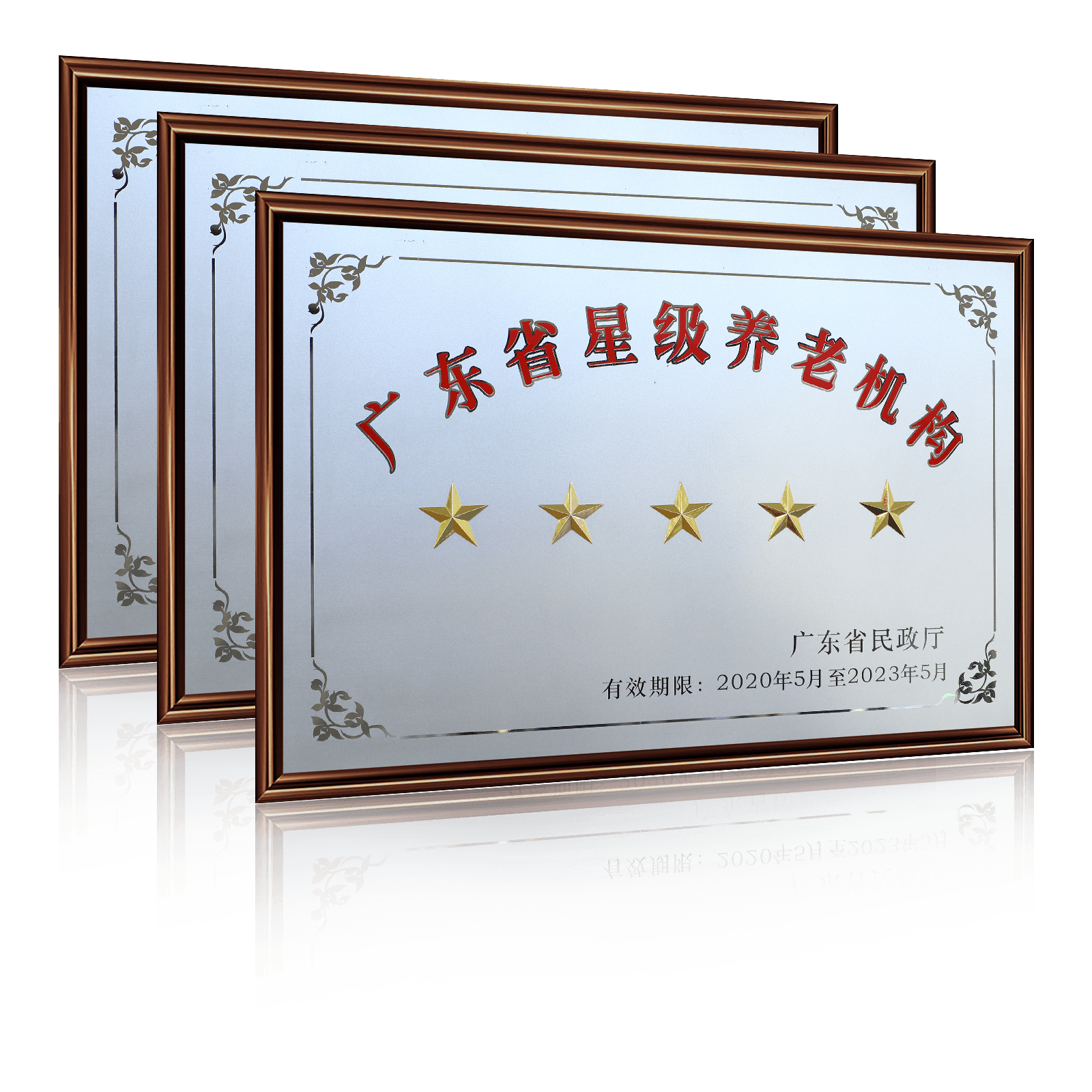 广东省五星级养老机构