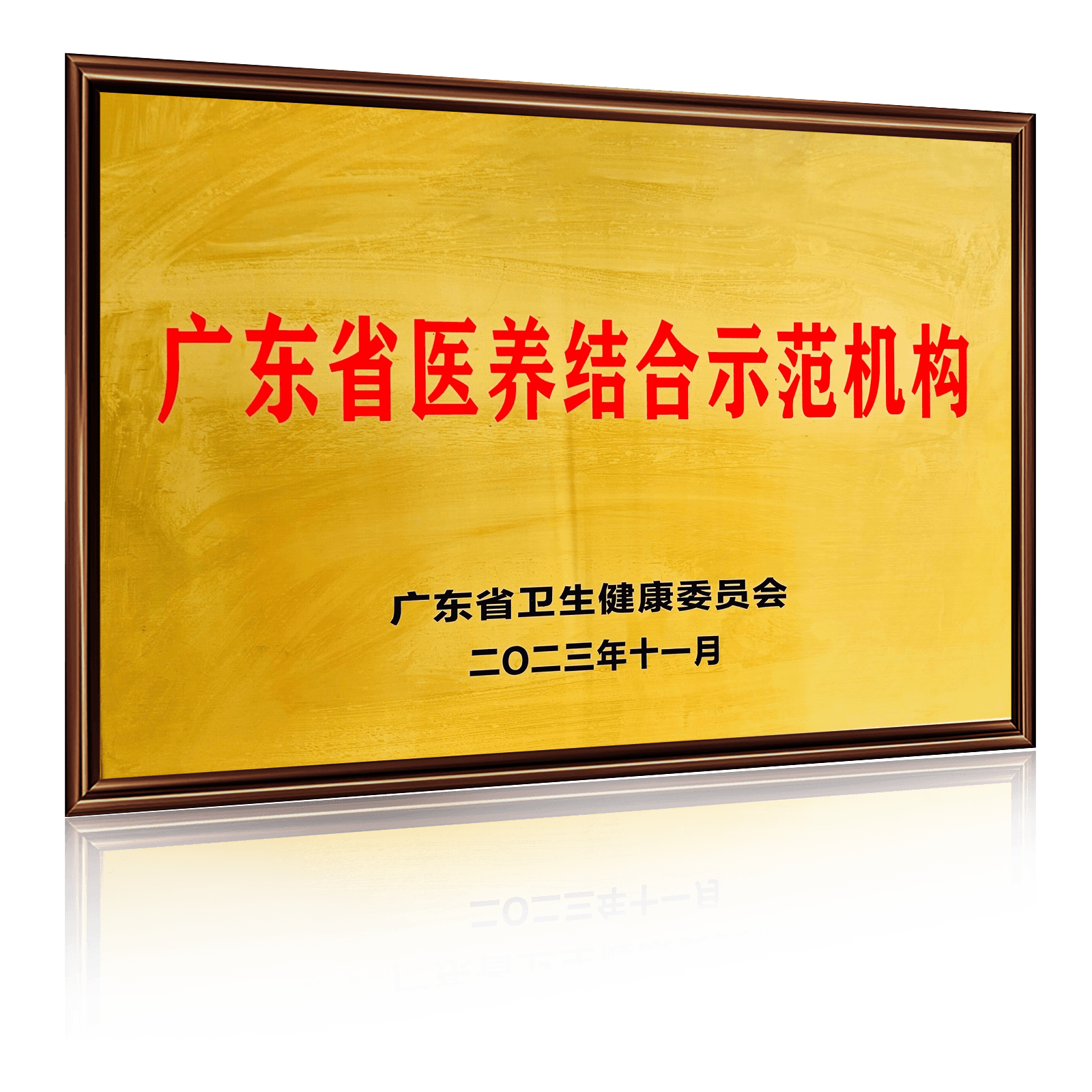 广东省医养结合示范机构