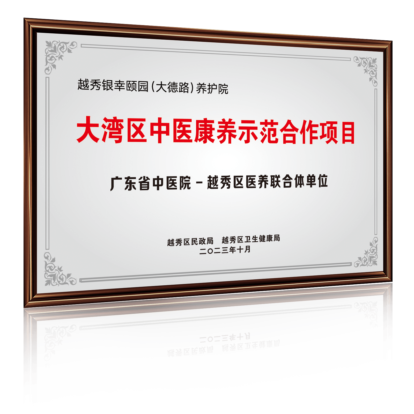 大湾区中医康养示范合作项目